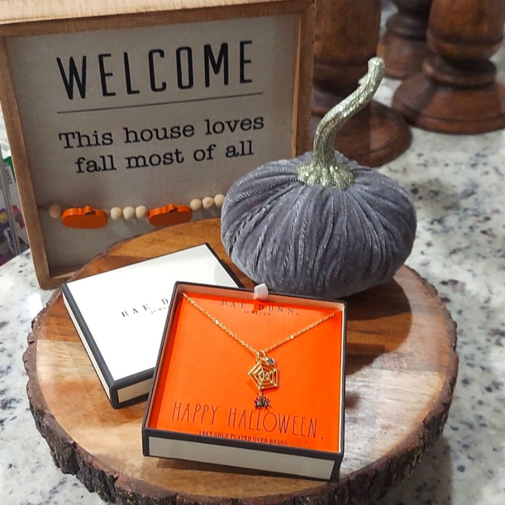 Rae Dunn Spider Web Necklace🖤🕷🖤